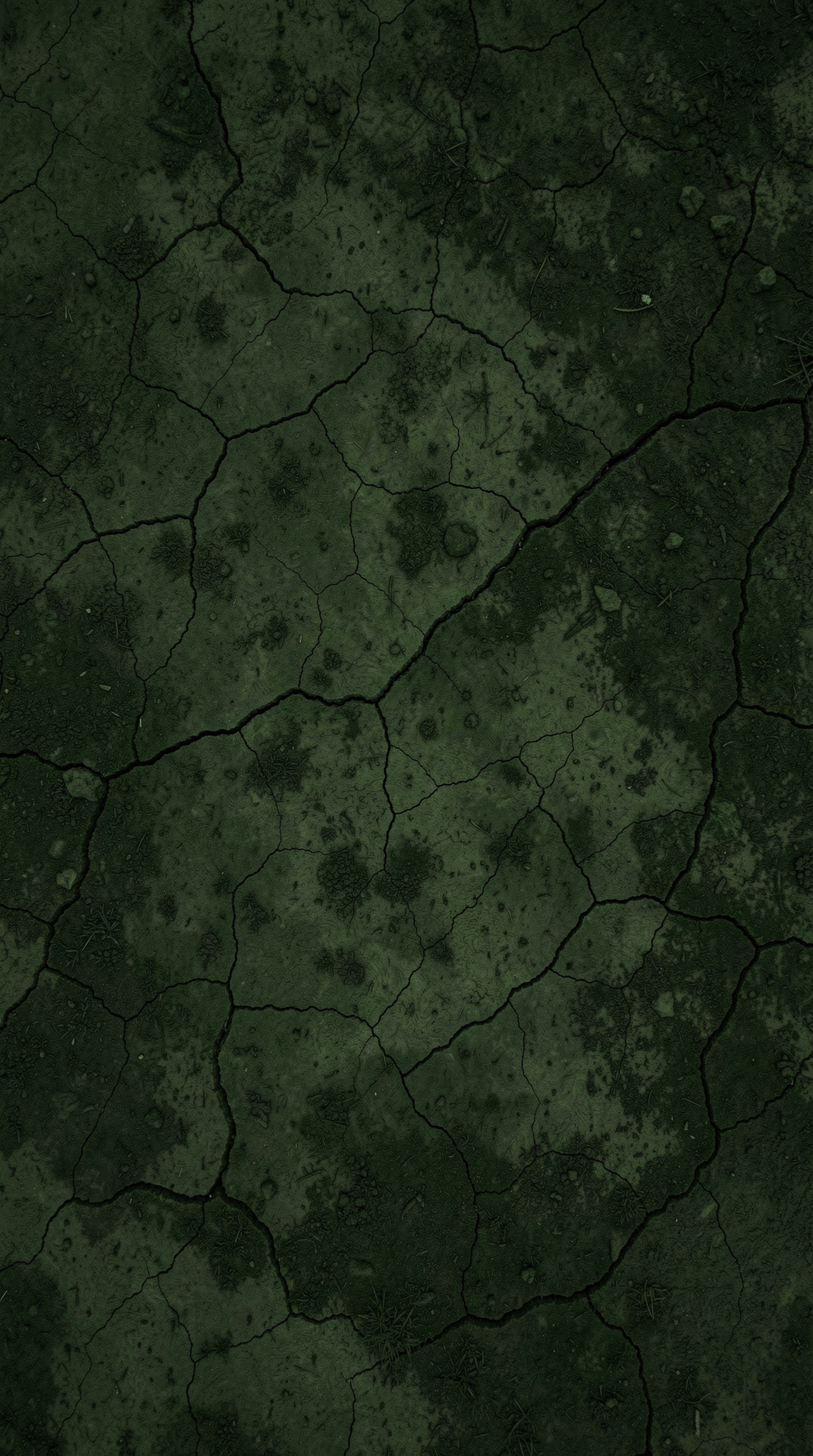 Cracked earth texture