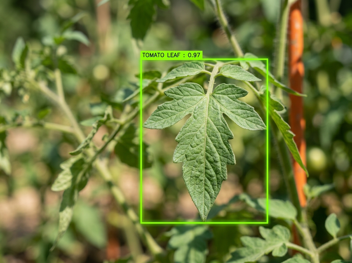 Sample Detection