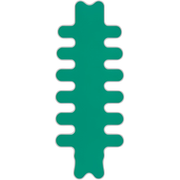 Variação Anatômica