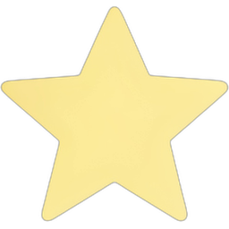 Star Badge Icon
