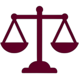 Scale Icon