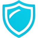 Shield Icon