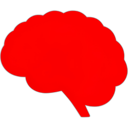 Brain icon