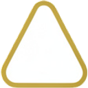 Problem Icon