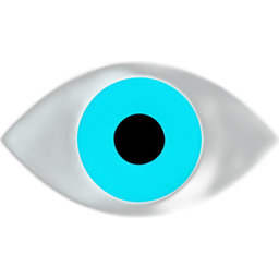 Spy Eye Icon