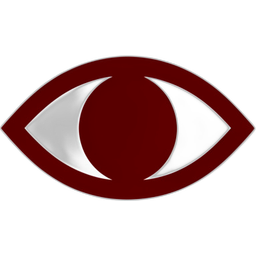 Eye Icon