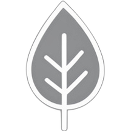 Leaf Icon
