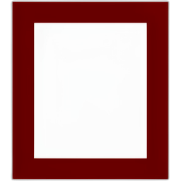 Framing Effect