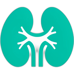 Kidney Icon