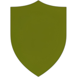 Shield Icon