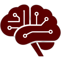 DS Icon