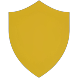 Shield Icon