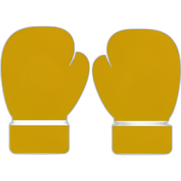 Boxing Gloves
