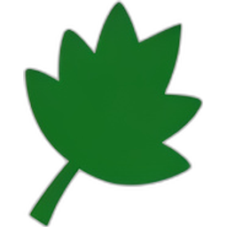 Green Leaf Decoration