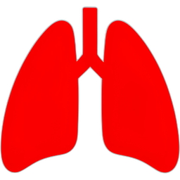 Lungs icon