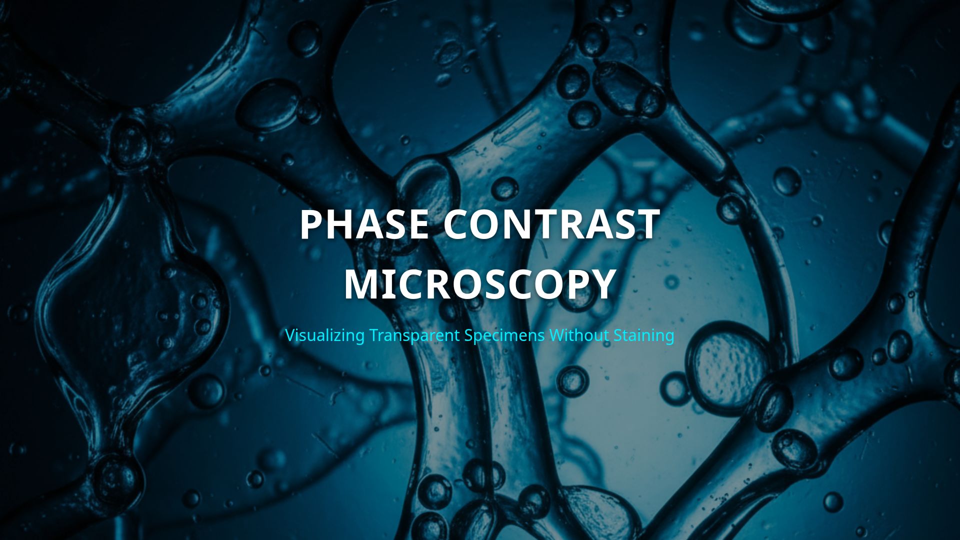 Phase Contrast Microscopy: Visualizing Living Cells | Bobr AI