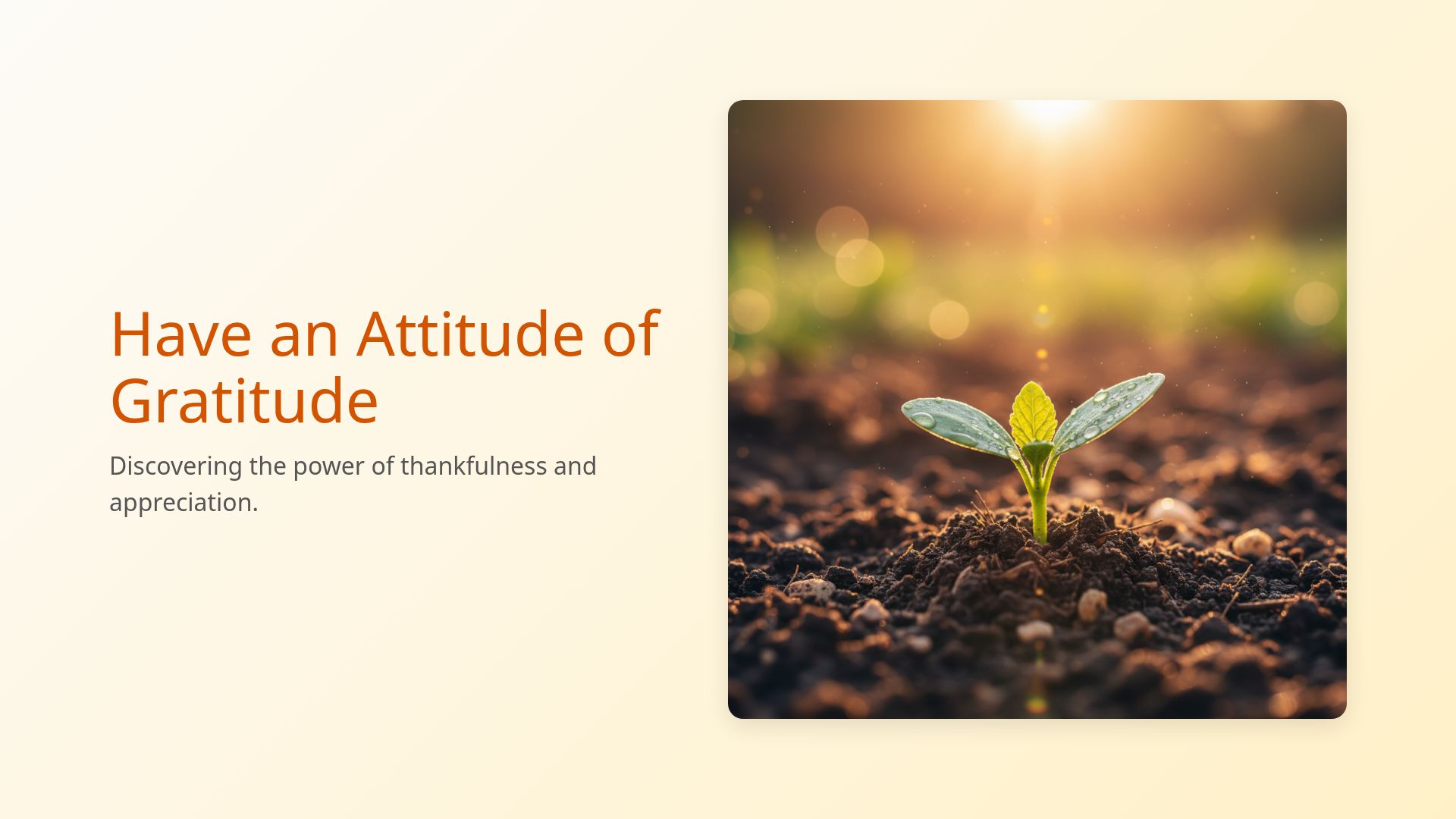 Cultivating Gratitude: Power of Thankfulness and Kindness