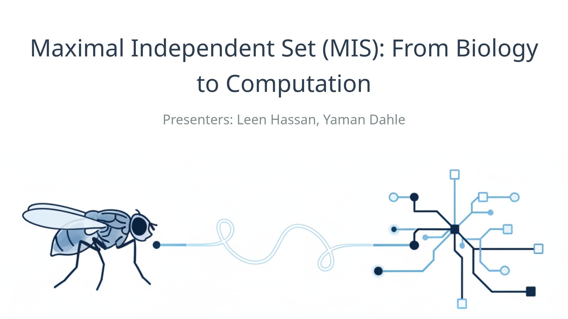 MIS Algorithm: From Biological Inspiration to Computation
