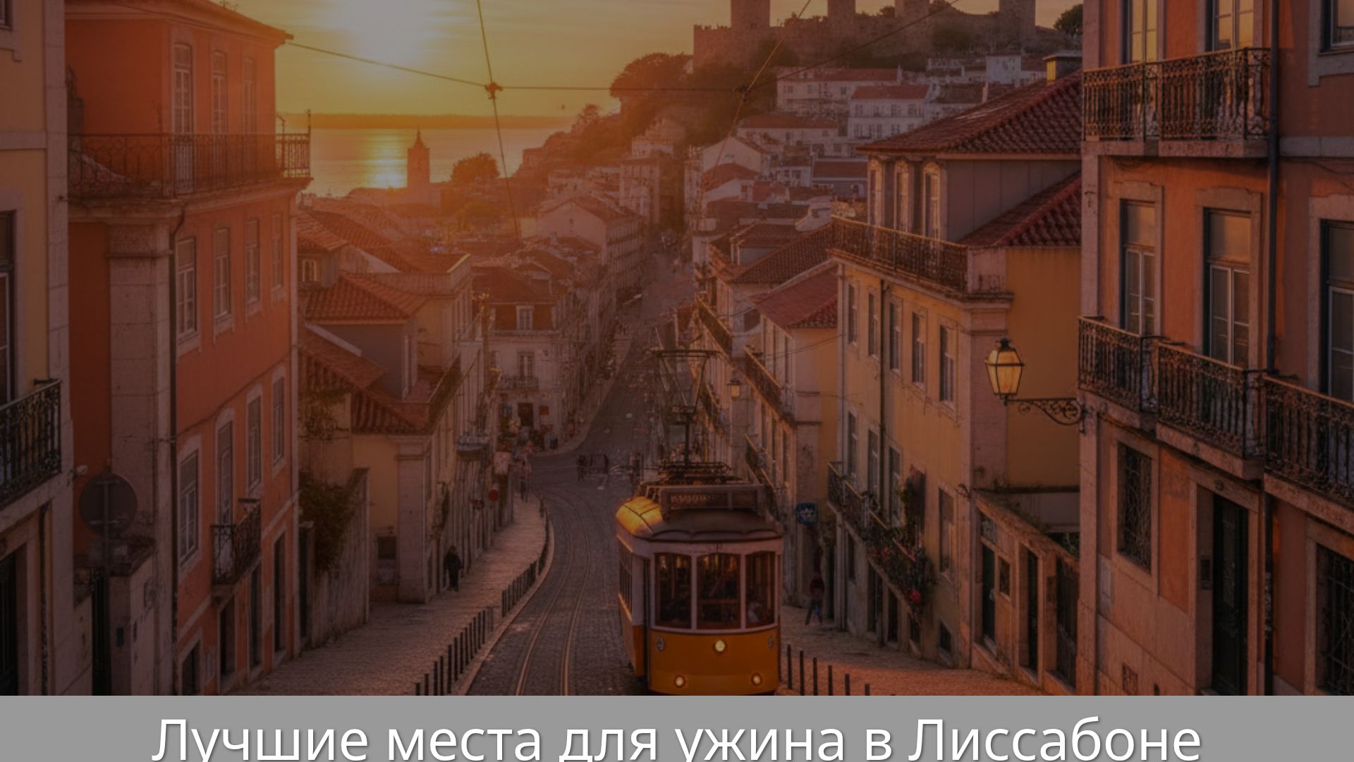 Лучшие рестораны Лиссабона: гастрономический гид 2024