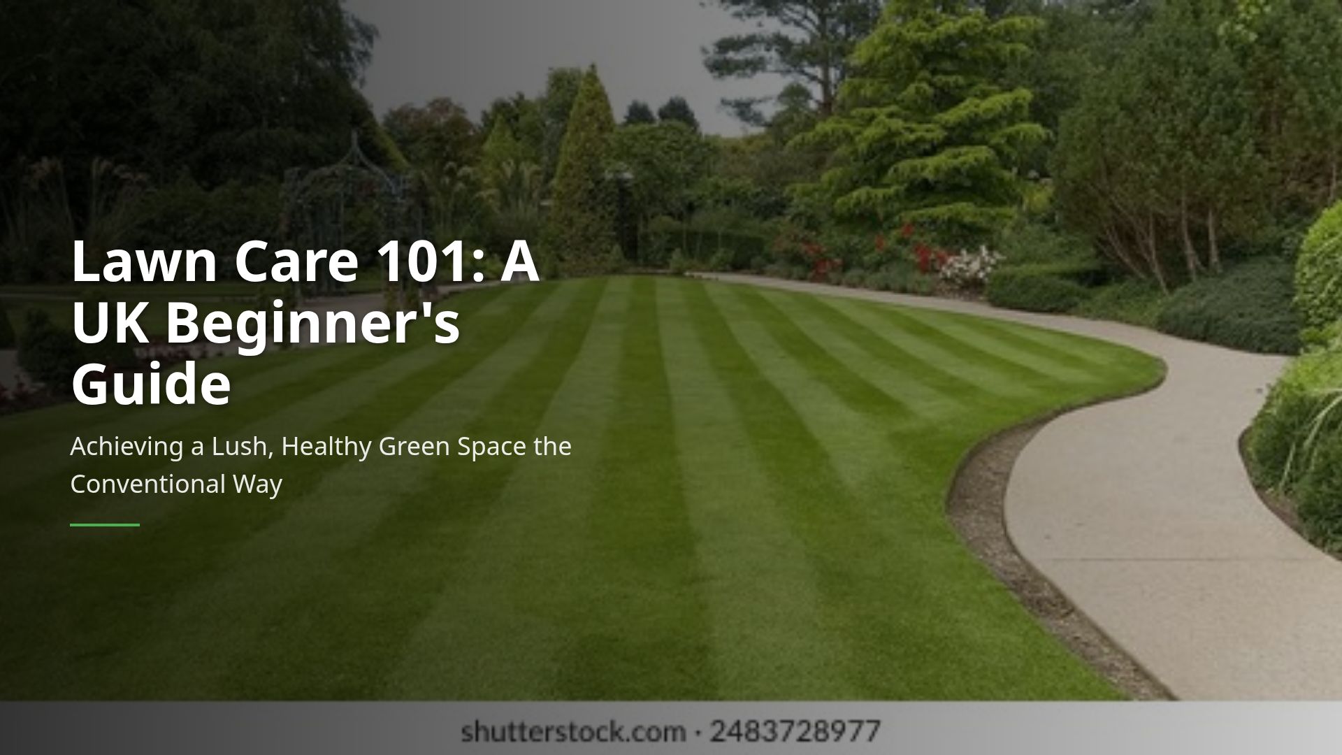 Lawn Care 101: A Beginner’s Guide to UK Gardens