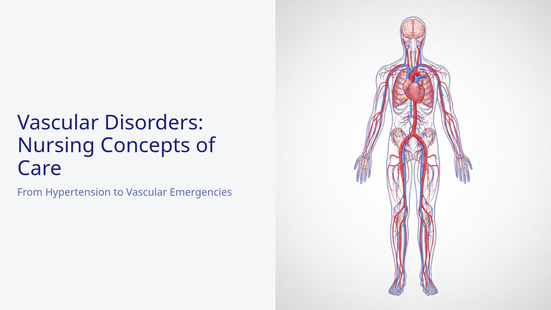 Nursing Care for Vascular Disorders & Patient Management