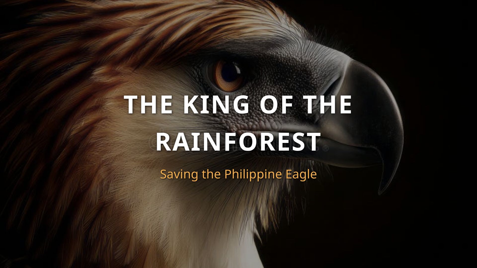 The Philippine Eagle: Conservation and Survival Guide