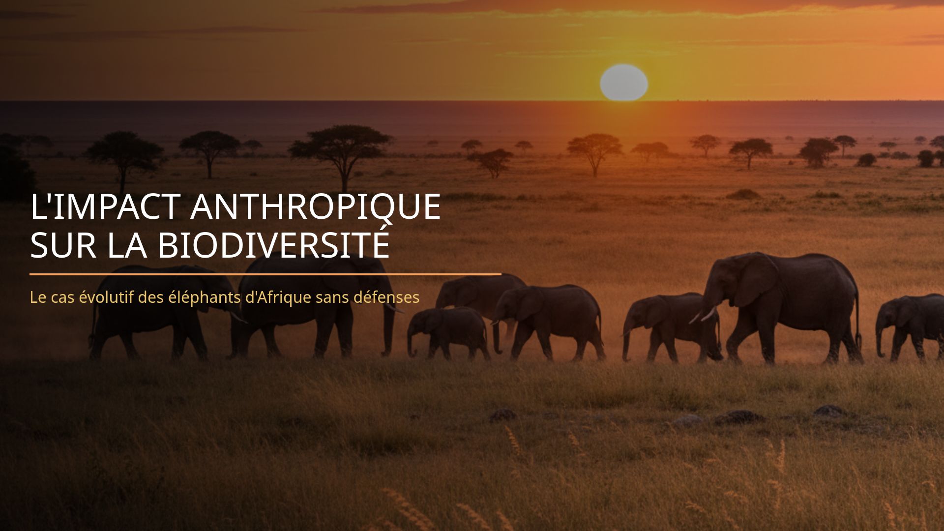 Évolution des Éléphants sans Défenses : Impact Anthropique