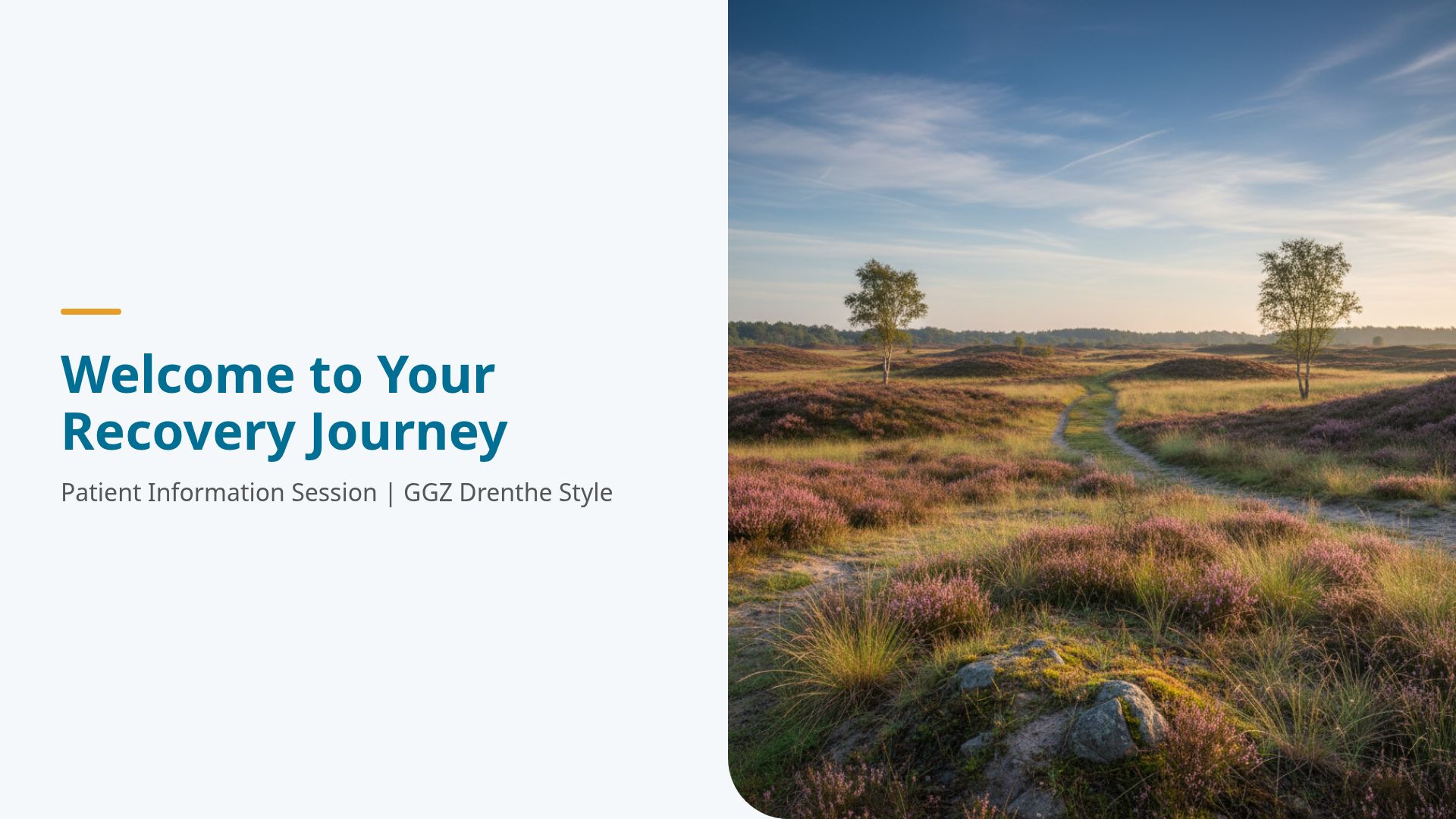 Patient Recovery Journey: Mental Health Care Overview