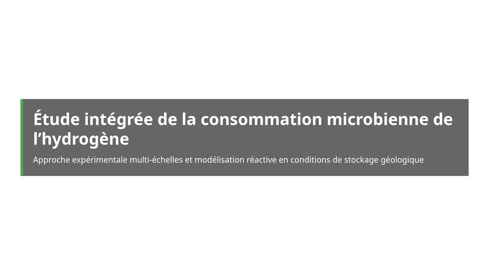Modélisation de la consommation d'hydrogène en stockage