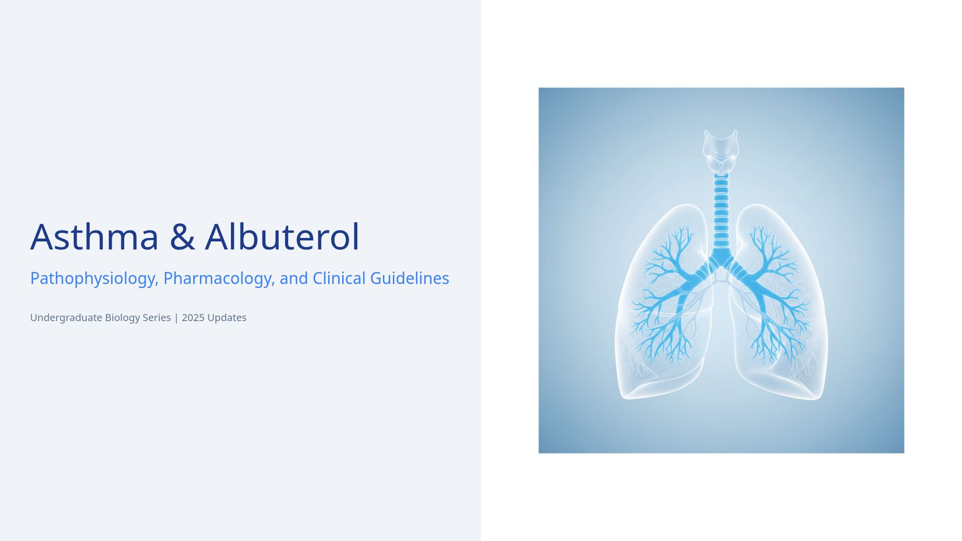 Understanding Asthma and Albuterol: Guide & 2025 Updates