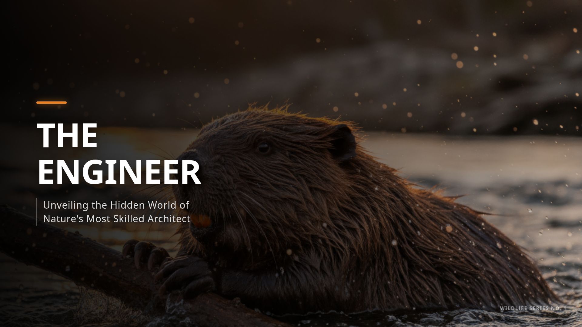 Beavers: Nature's Ingenious Ecosystem Engineers