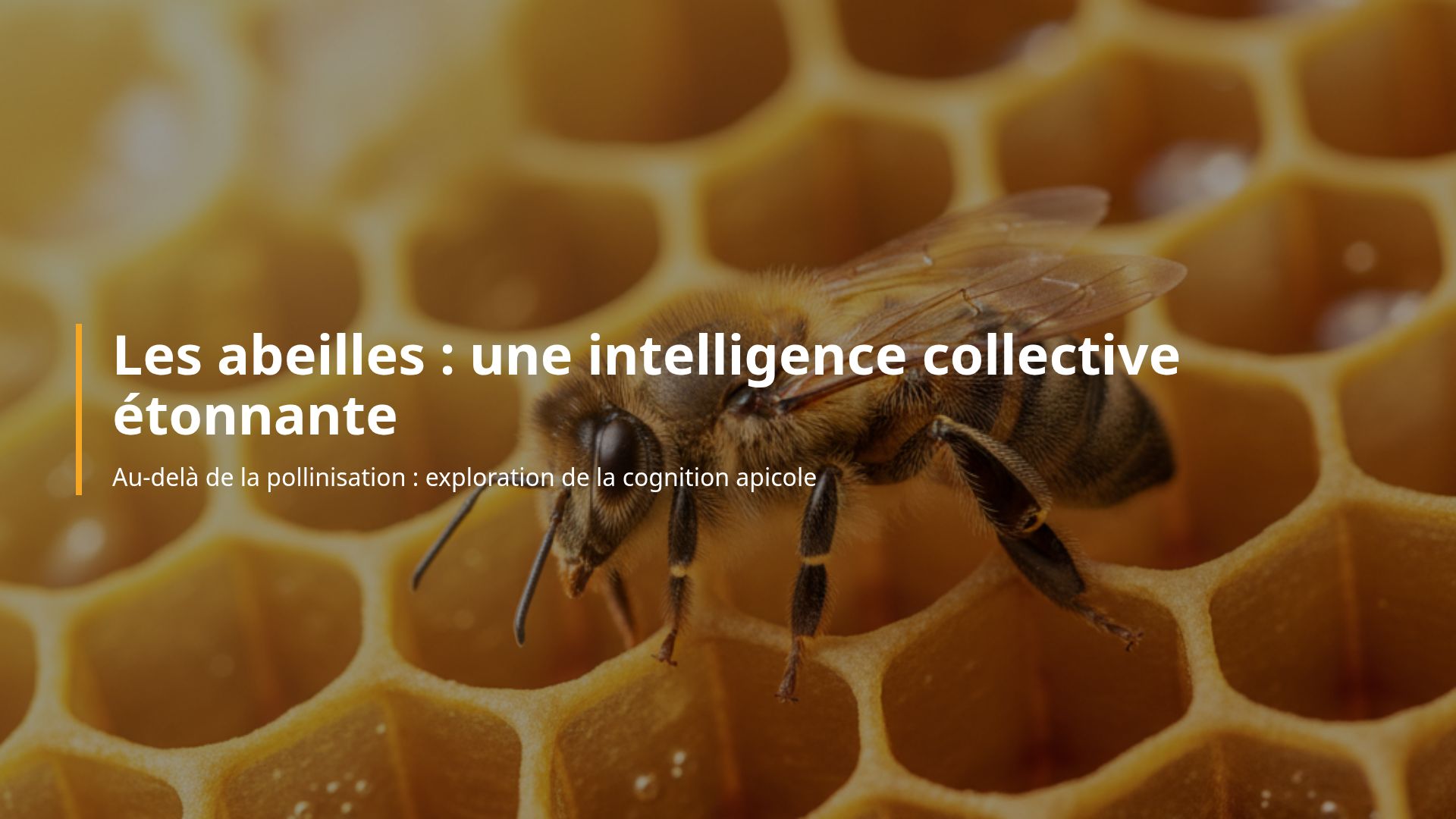 L'intelligence collective et cognitive des abeilles