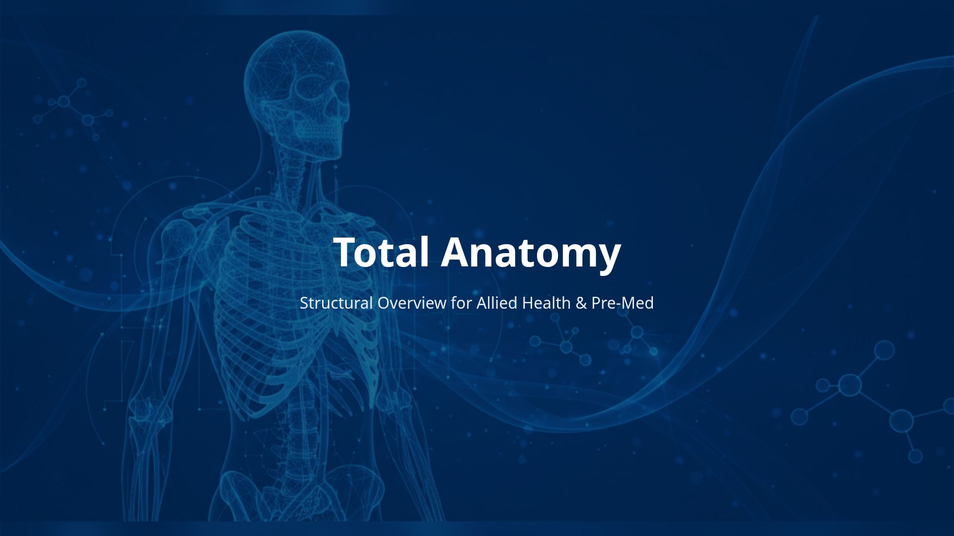 Heart and Blood Vessel Anatomy: Structural Overview