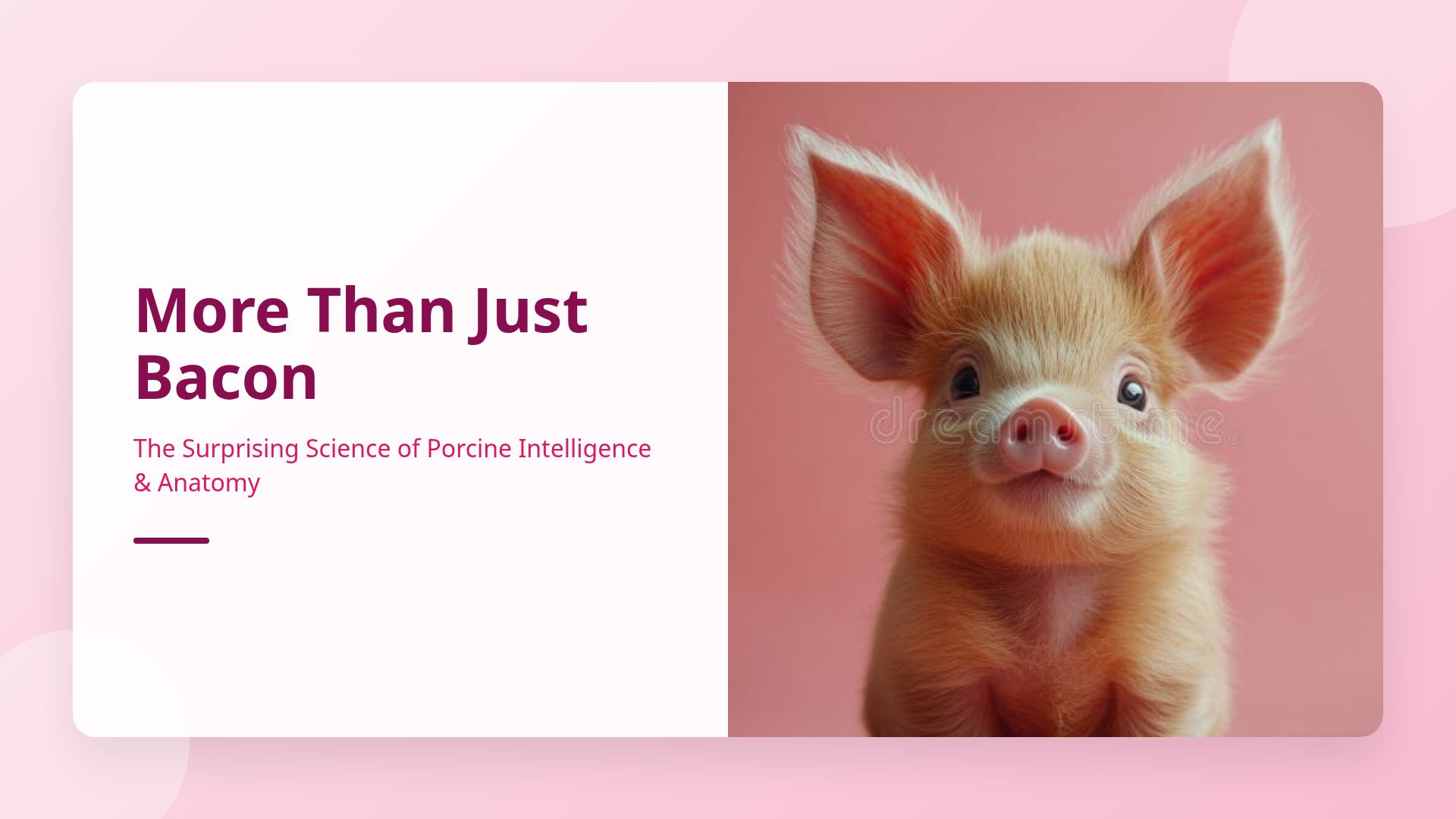 Pigs Unplugged: The Science of Swine Intelligence & Anatomy