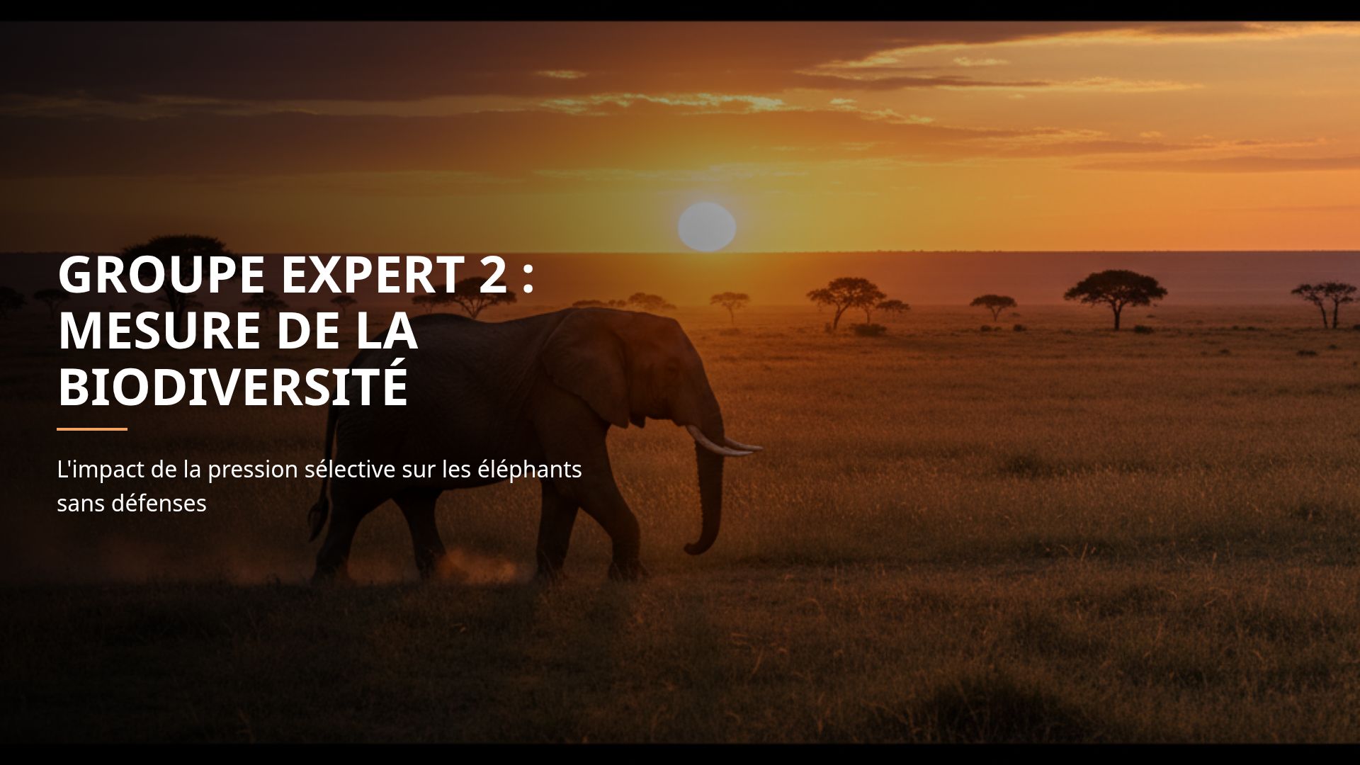 Impact de la Pression Humaine sur la Biodiversité des Éléphants