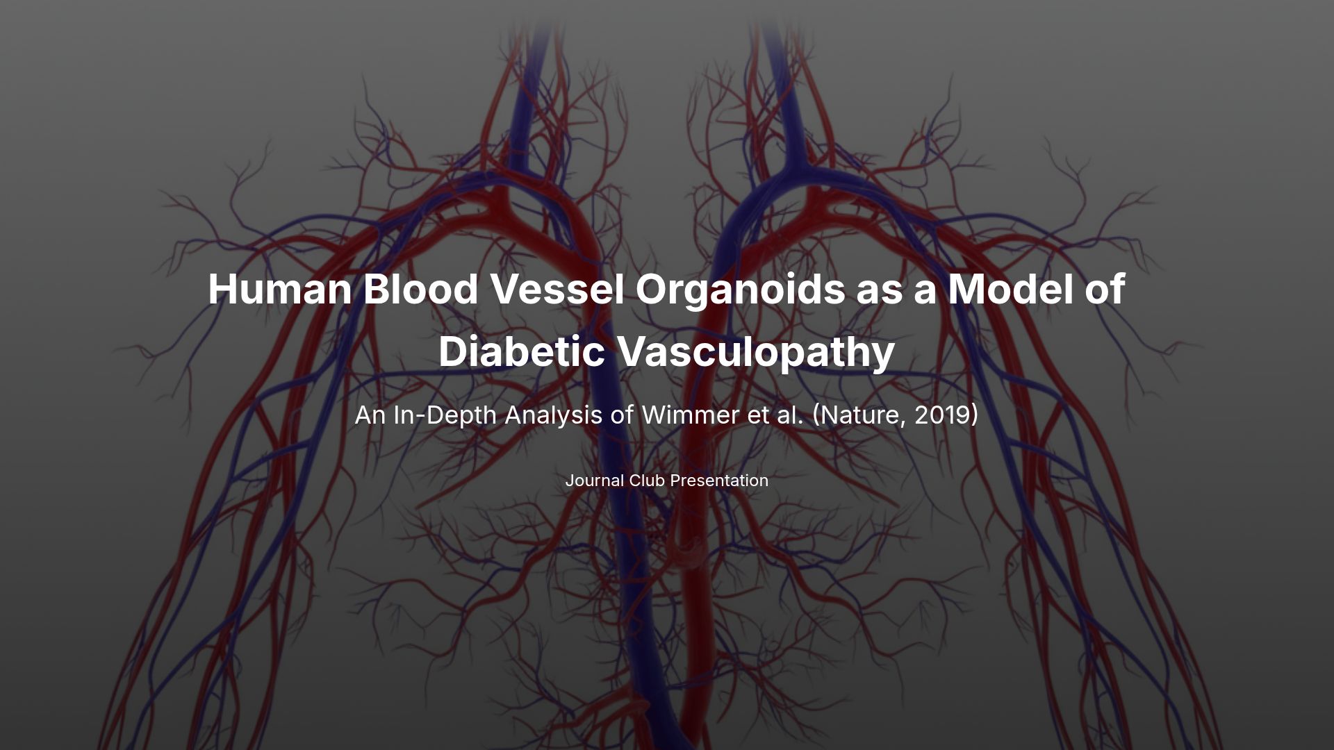 Modeling Diabetic Vasculopathy with Blood Vessel Organoids
