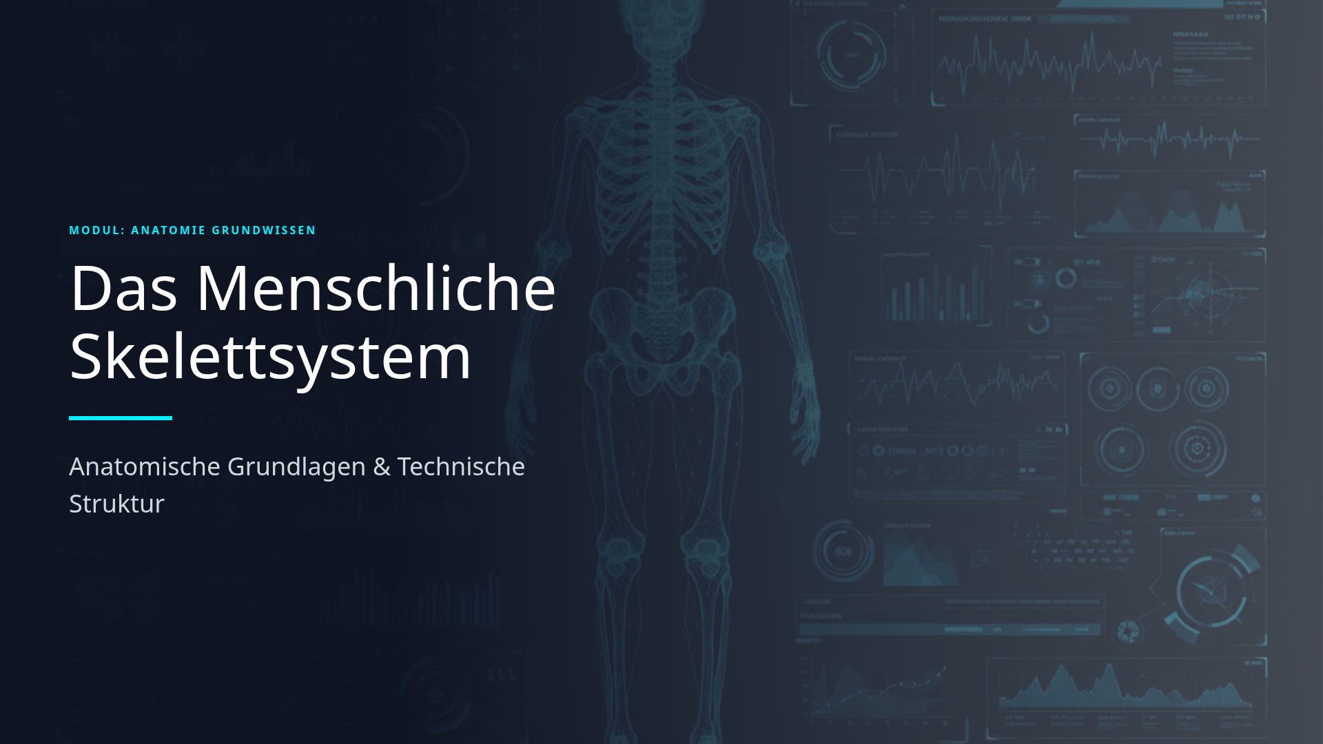 Das Menschliche Skelettsystem: Anatomie und Aufbau