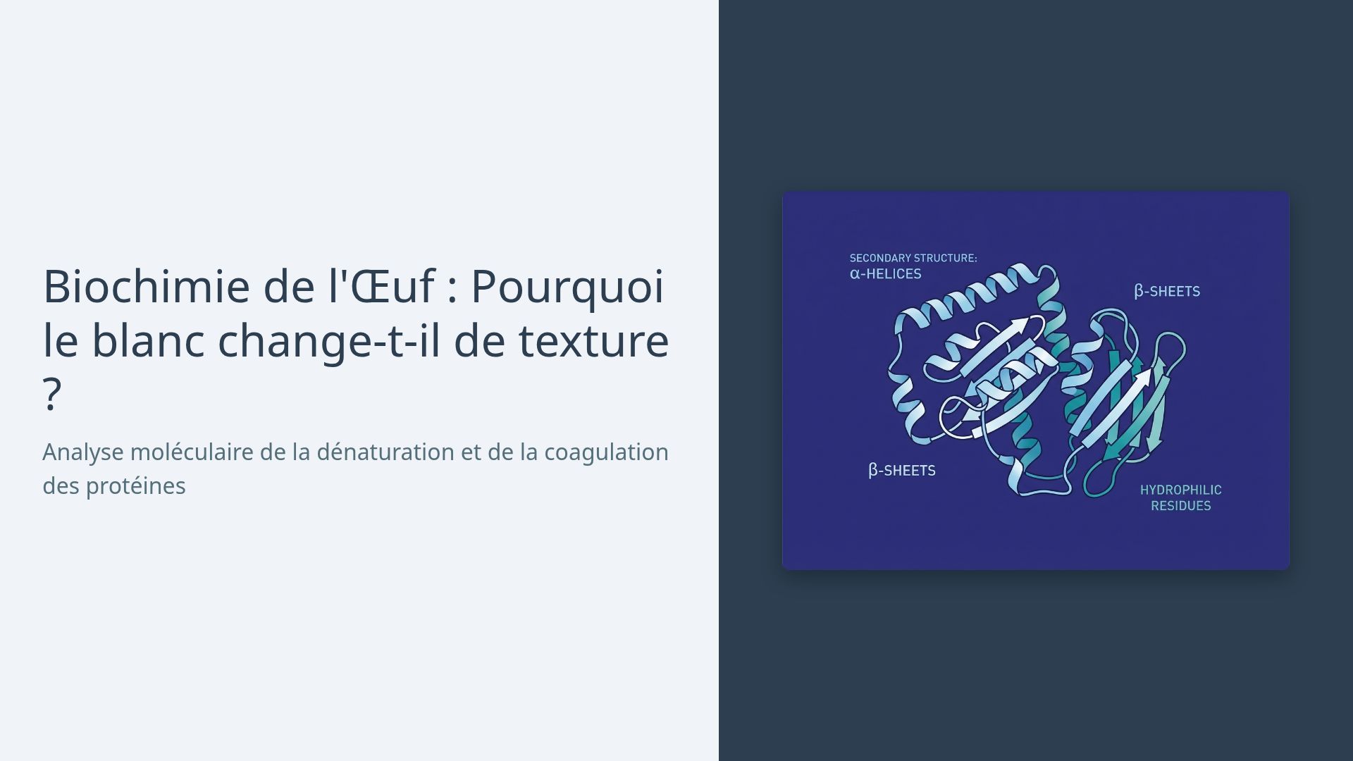 Biochimie de l'Œuf : Pourquoi le blanc change-t-il de texture ?