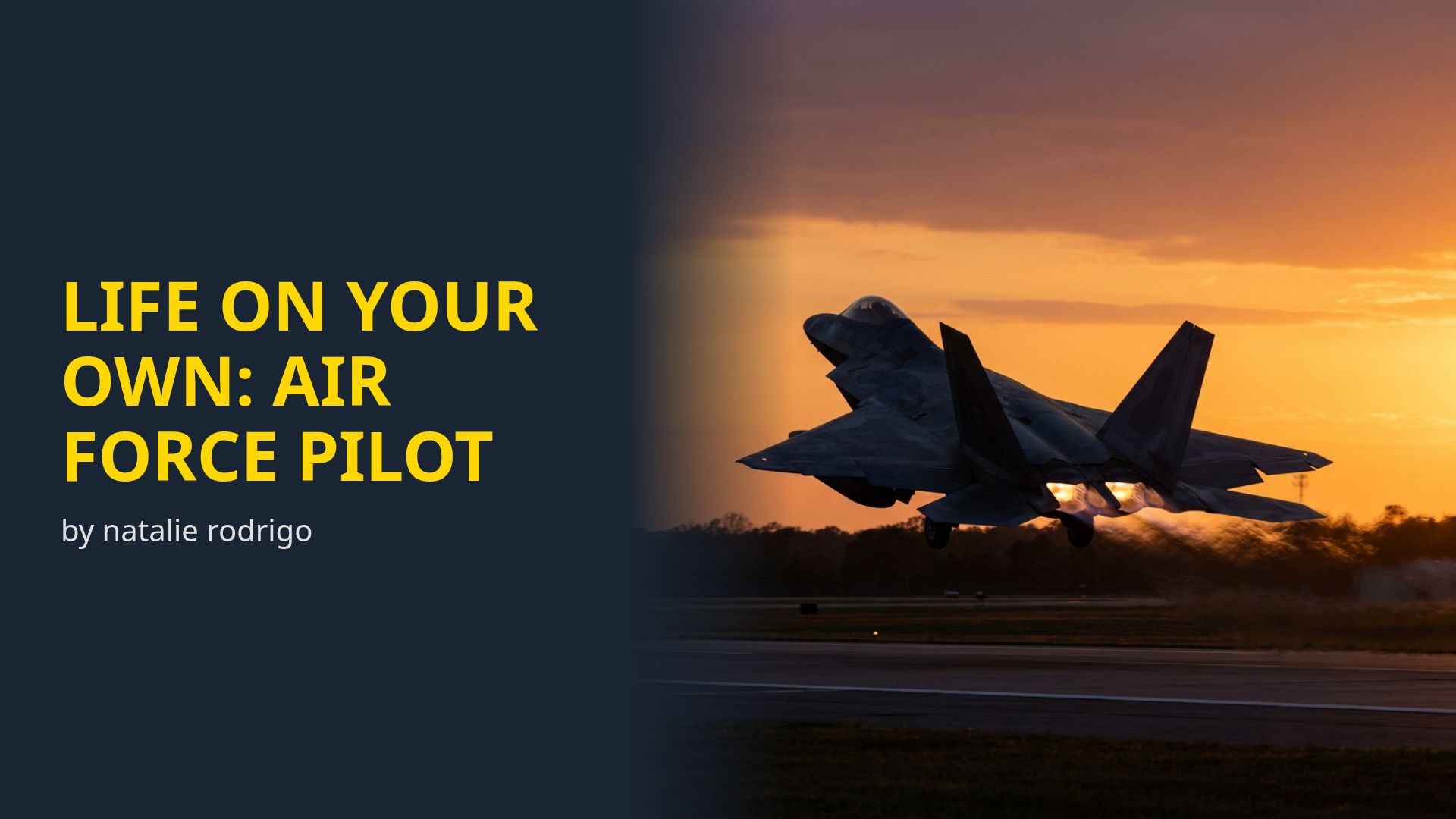 Becoming an Air Force Pilot: Career Path and Living Solo