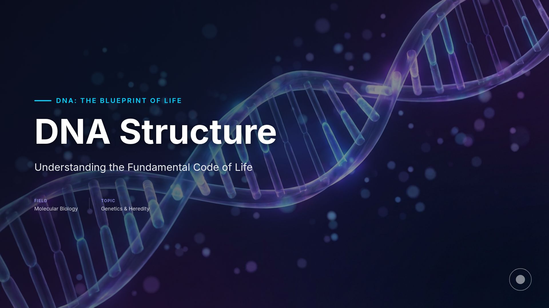 Understanding DNA Structure and Function | Biology Guide