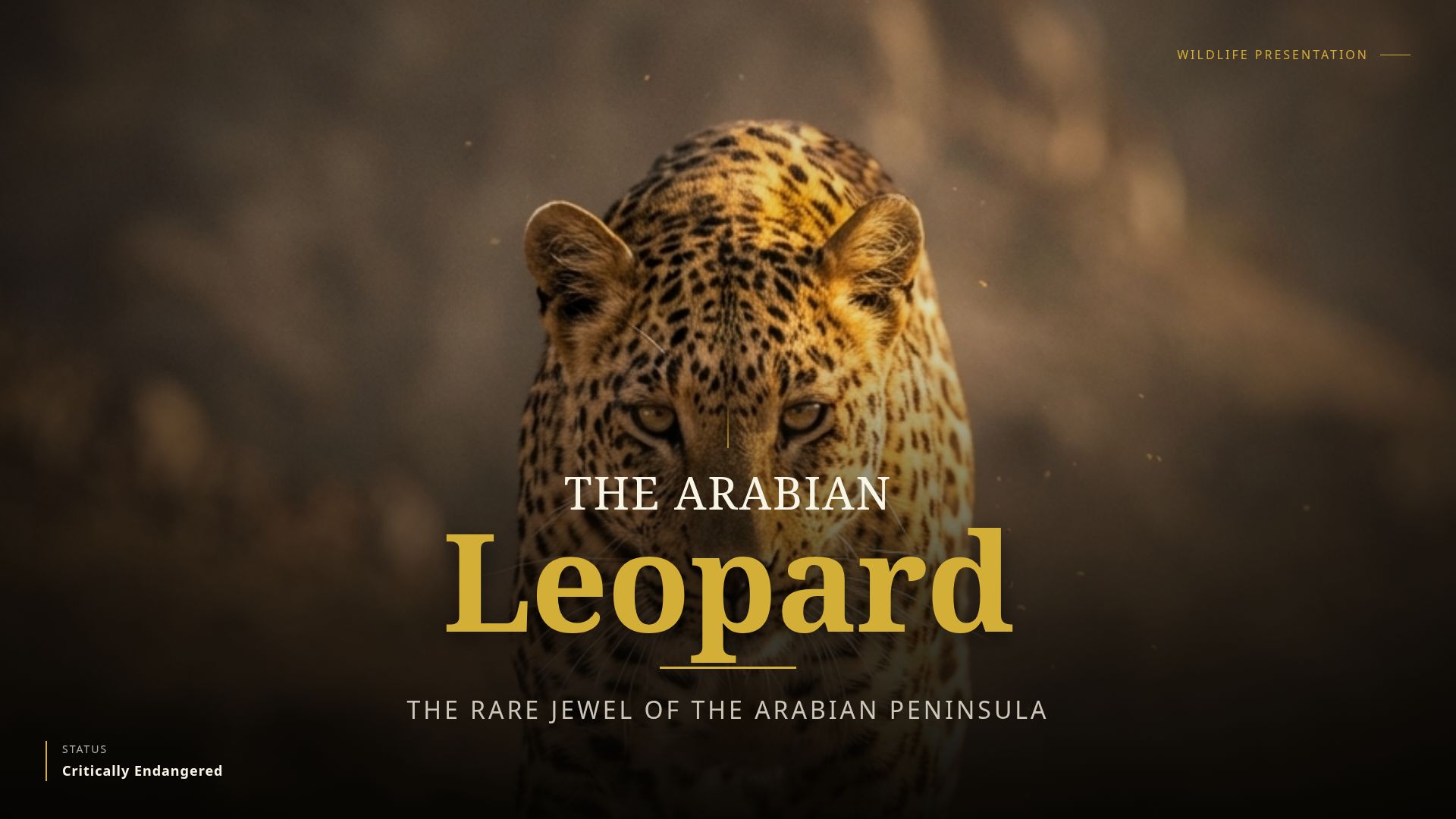 Conservation of the Arabian Leopard: Facts & Status
