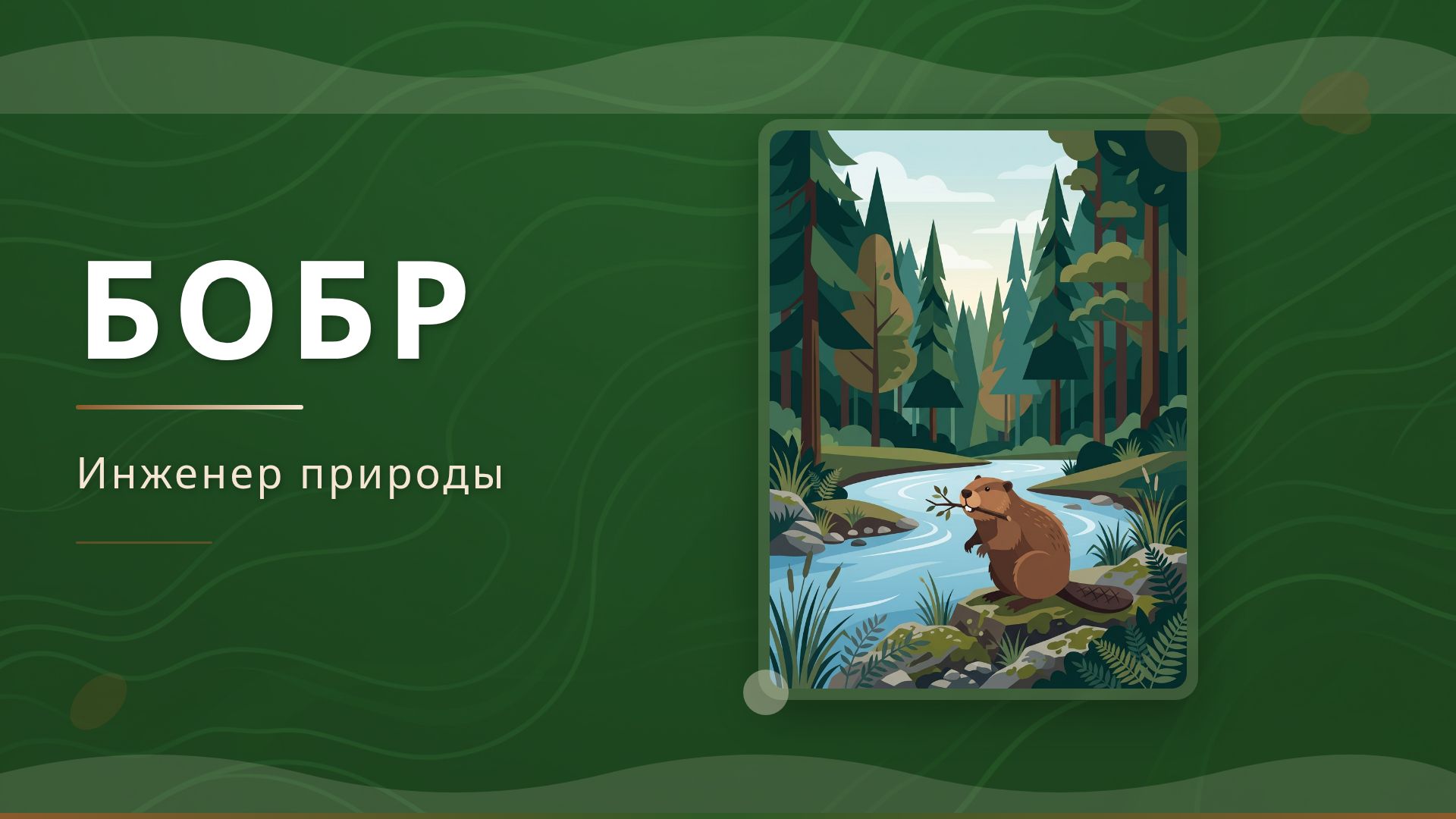 Бобр — инженер природы: всё о жизни и роли в экосистеме