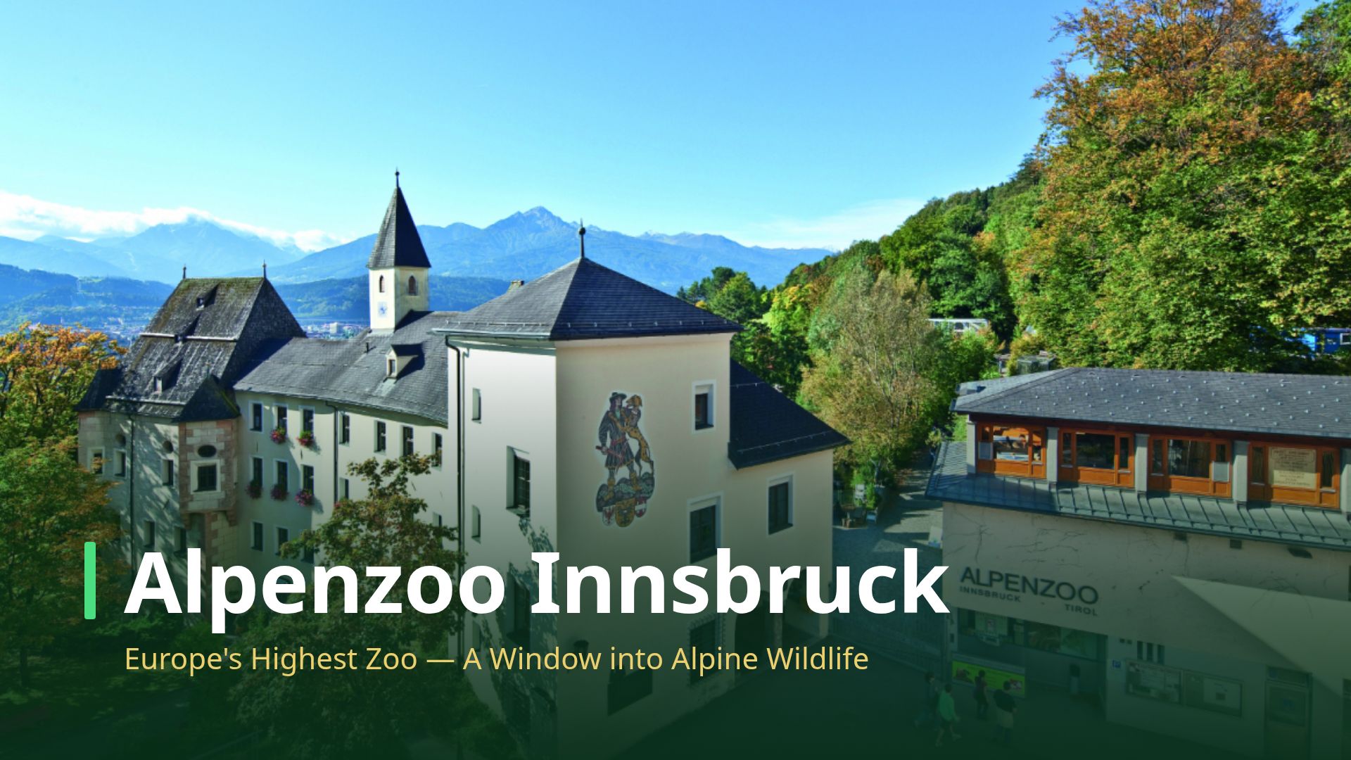 Alpenzoo Innsbruck: Travel Guide to Europe's Highest Zoo