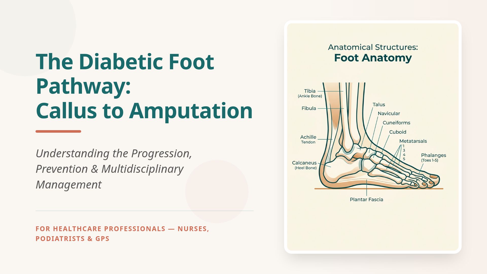 Diabetic Foot Pathway: From Callus to Amputation