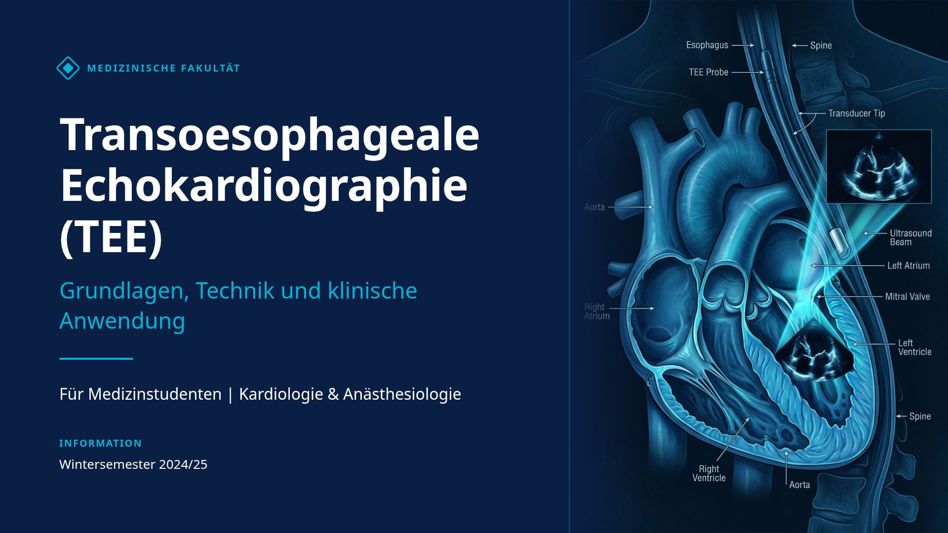 Transoesophageale Echokardiographie (TEE): Grundlagen