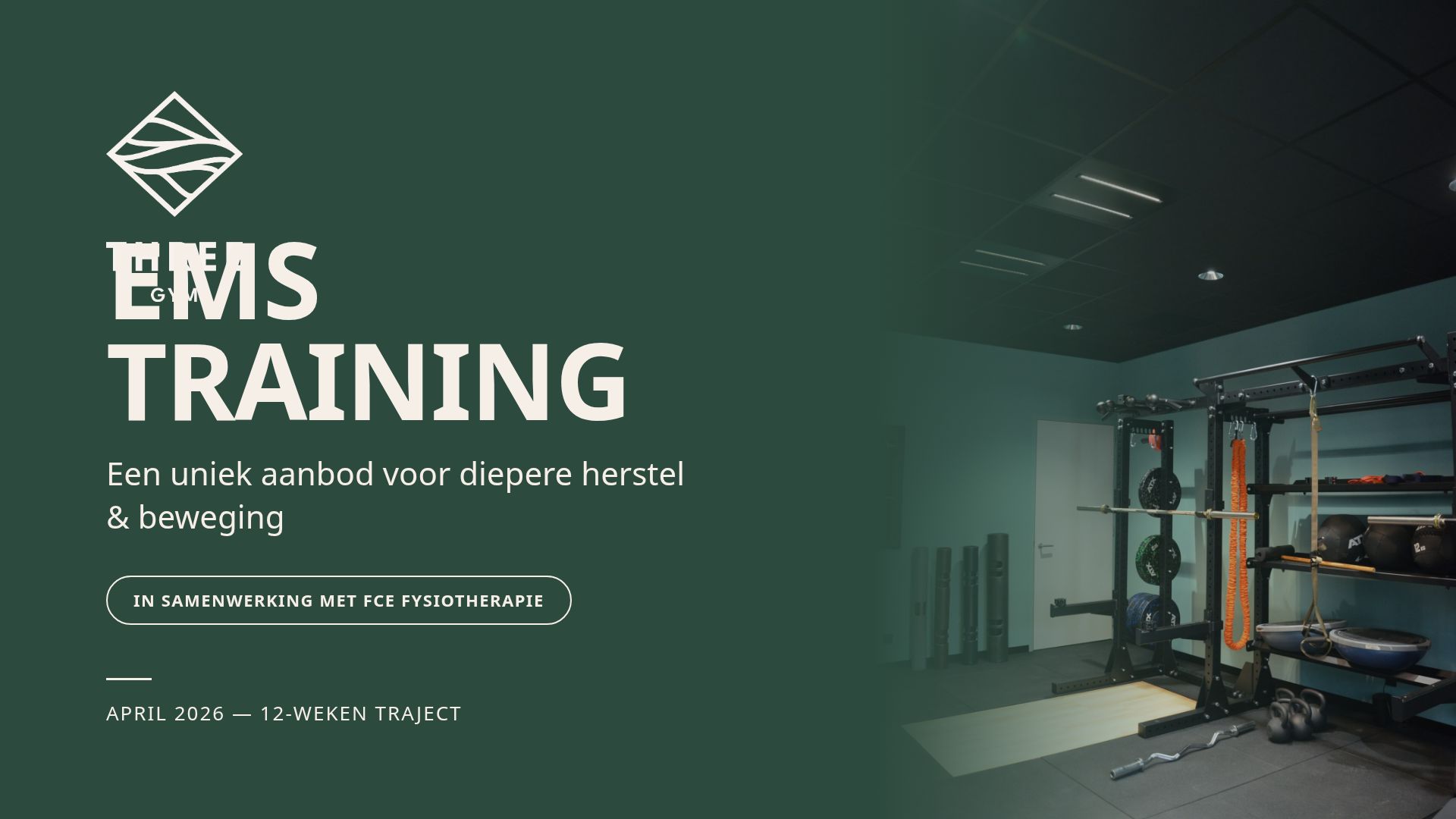 EMS Training & Fysiotherapie: 12-Weken Hersteltraject