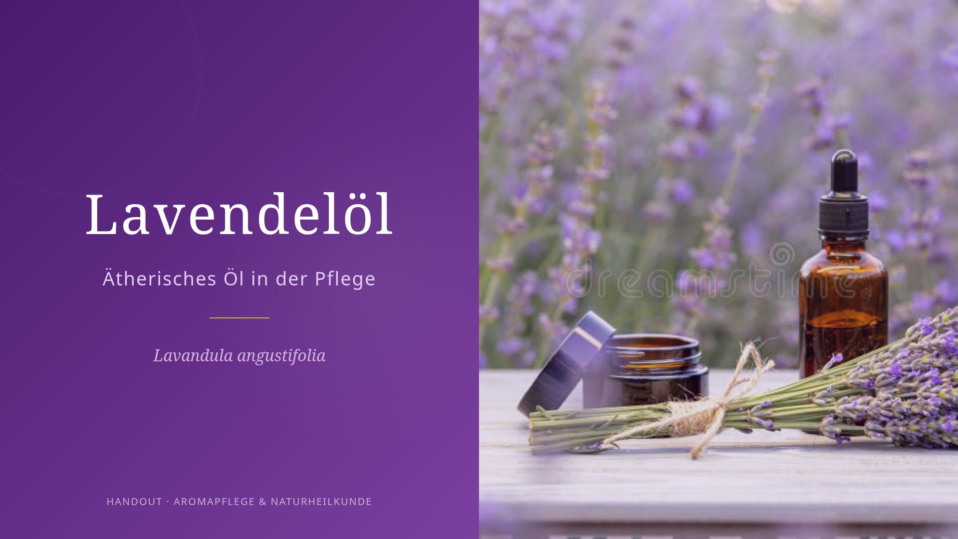 Lavendelöl in der Pflege: Wirkung, Anwendung & Sicherheit