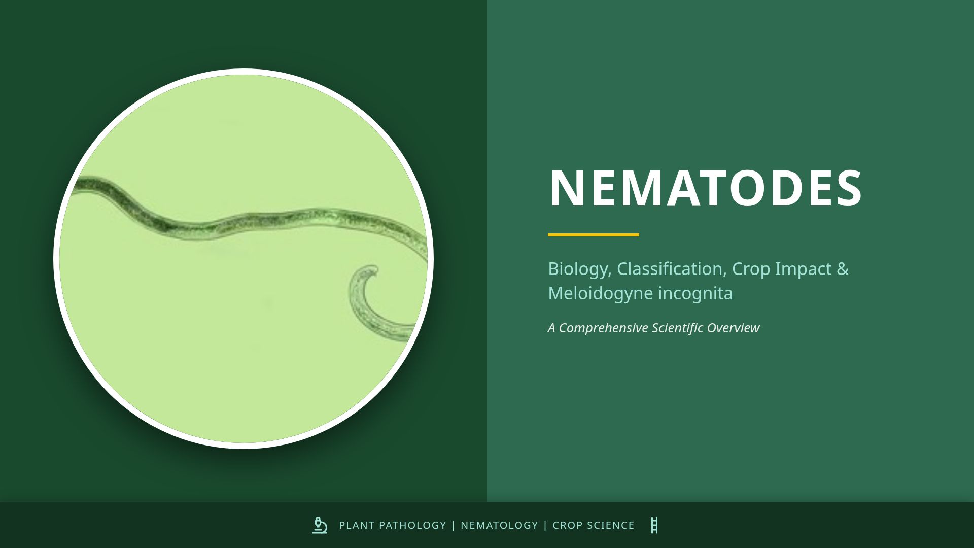 Nematodes: Biology, Impact & Meloidogyne incognita Overview