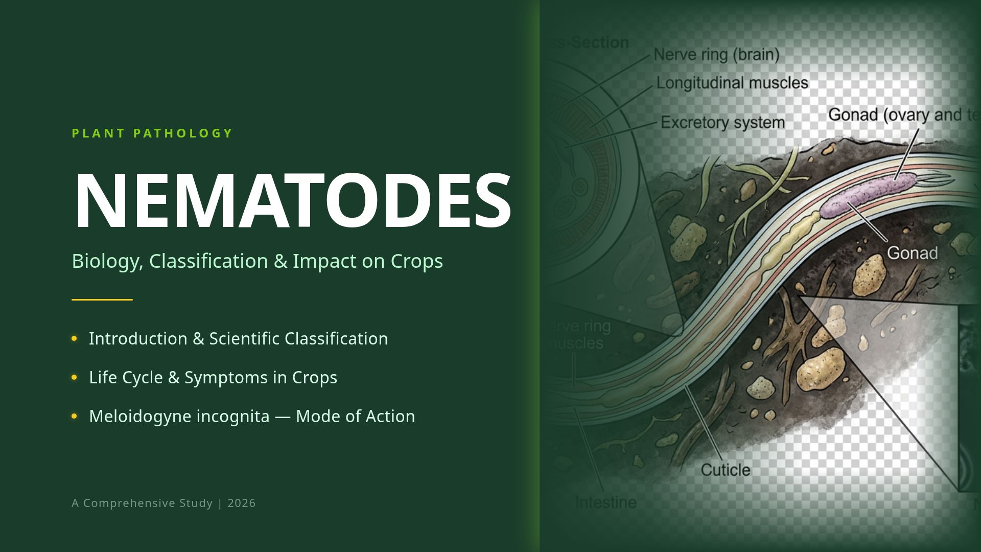 Plant Pathology: Nematodes Biology & Crop Impact