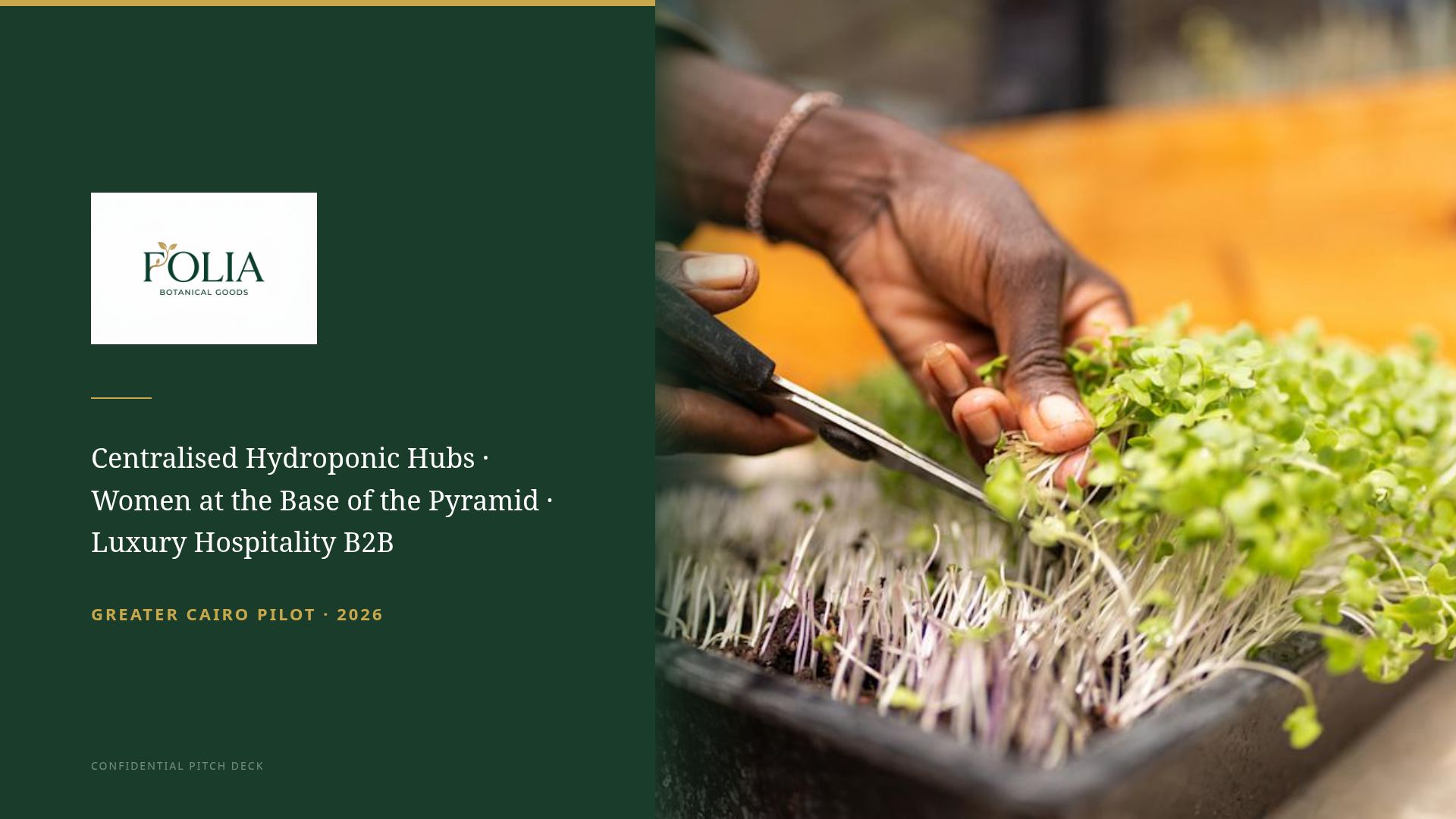 Folia: Hydroponic Social Enterprise Pitch Deck 2026